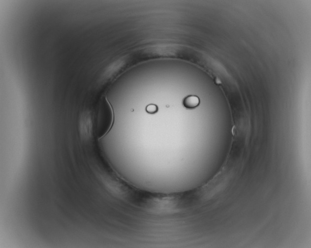 X0000115840120200911201600