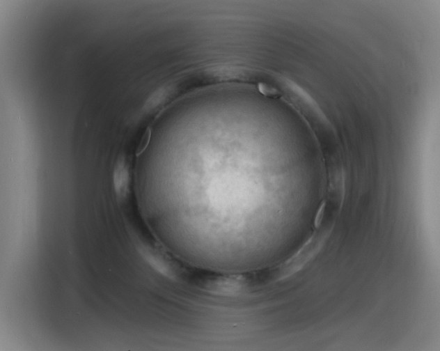 X0000115840124200911201600