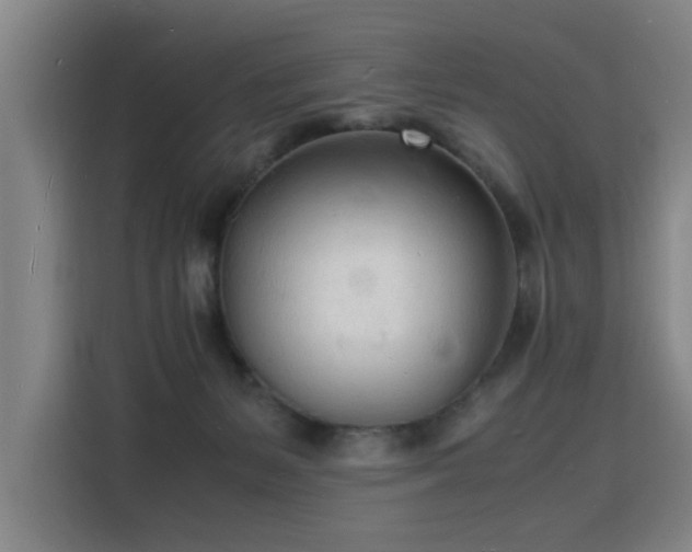 X0000115840127200911201600