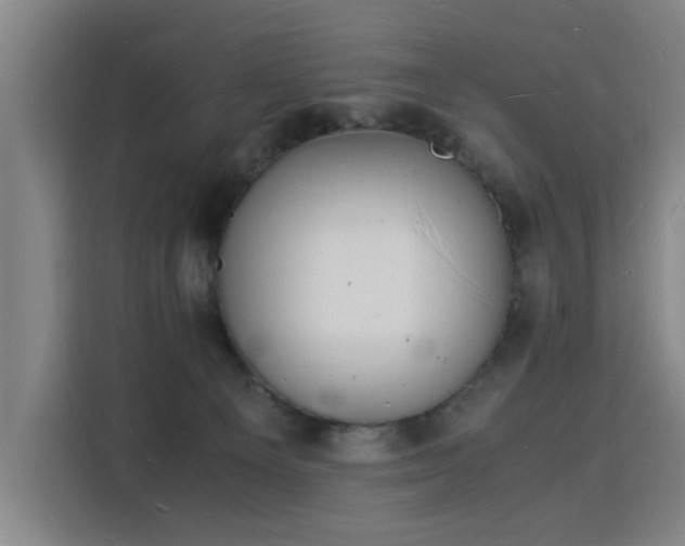 X0000115840129200911201600