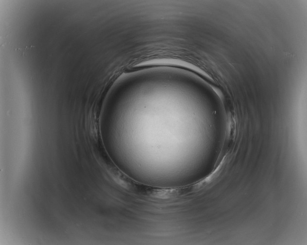 X0000115840136200911201600