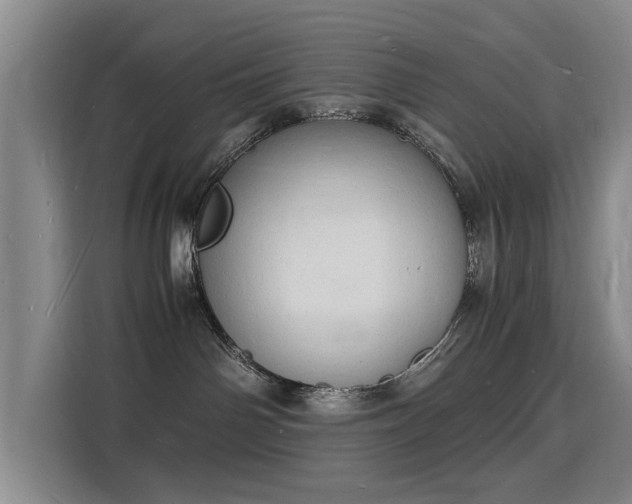 X0000115840142200911201600
