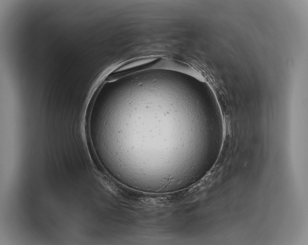 X0000115840147200911201559