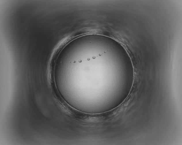 X0000115840149200911201559