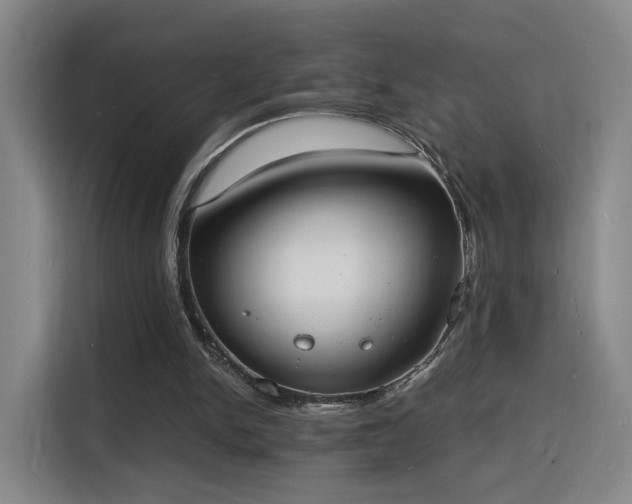 X0000115840150200911201559