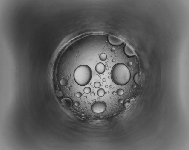 X0000115840151200911201559