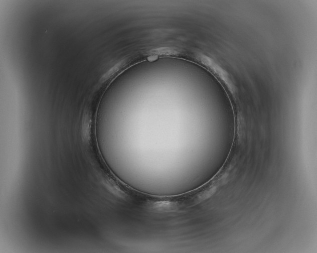 X0000115840153200911201559