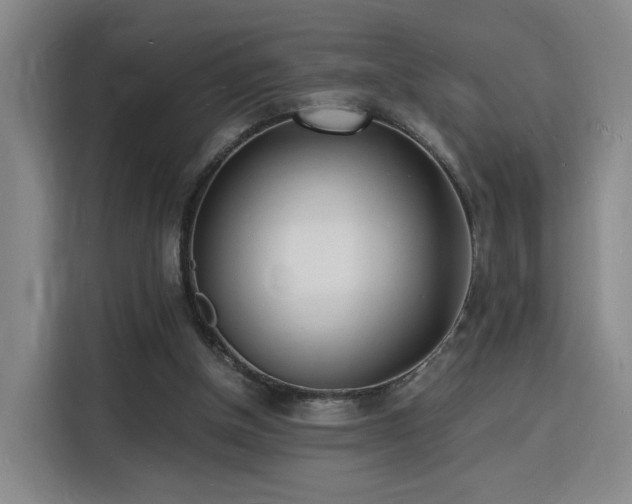 X0000115840154200911201559