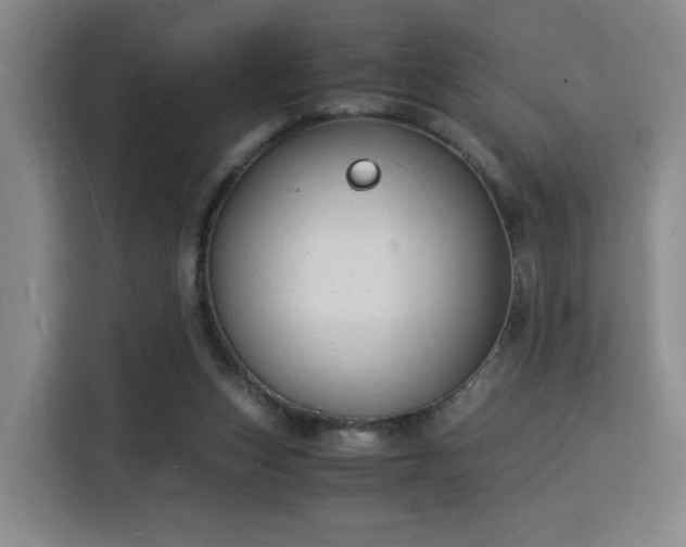 X0000115840159200911201600