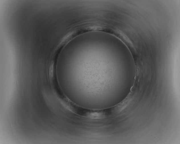 X0000115840163200911201600