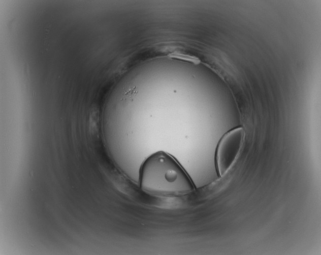 X0000115840175200911201600