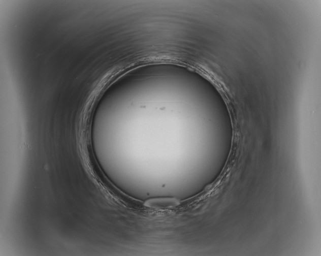X0000115840193200911201559