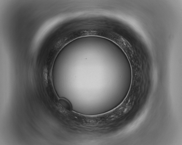 X0000115840194200911201559