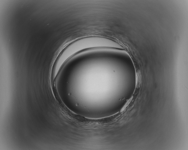 X0000115840195200911201559