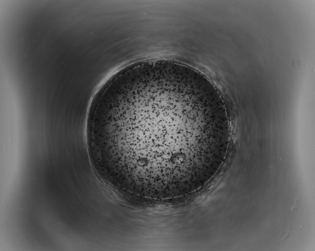 X0000115840196200911201559