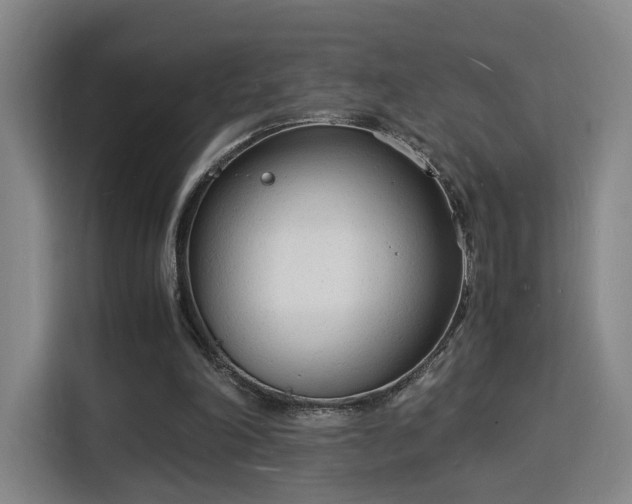 X0000115840198200911201559