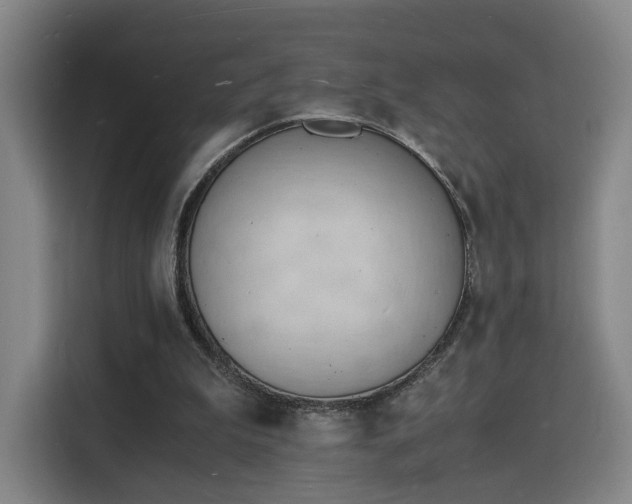 X0000115840199200911201559