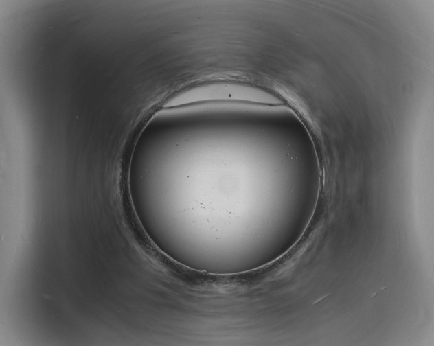 X0000115840201200911201559