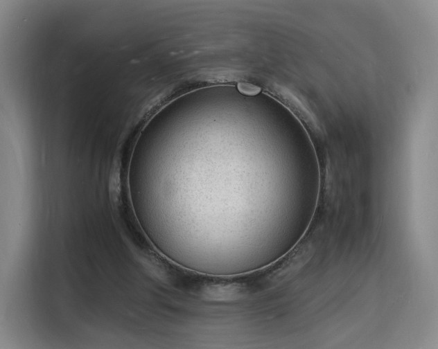 X0000115840202200911201559
