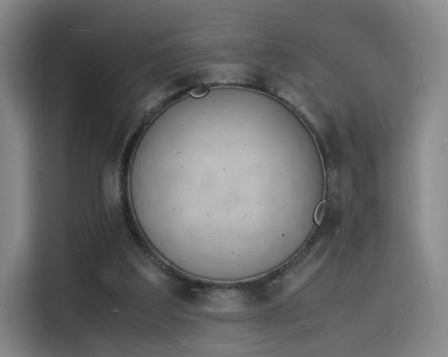 X0000115840203200911201559