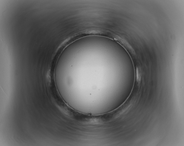 X0000115840204200911201559