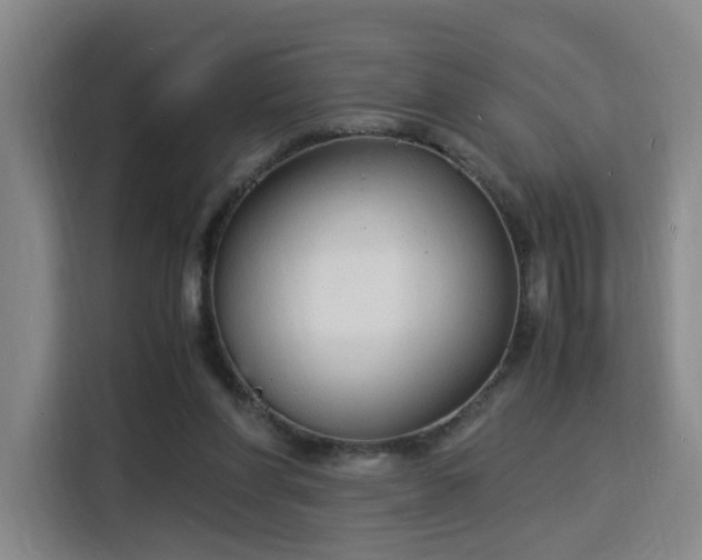 X0000115840206200911201559