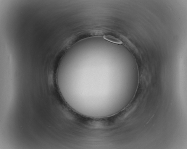 X0000115840209200911201559