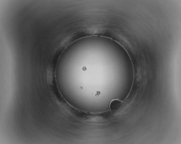 X0000115840210200911201559
