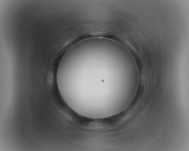 X0000115840211200911201559