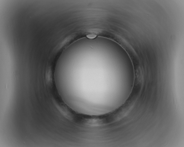 X0000115840212200911201559