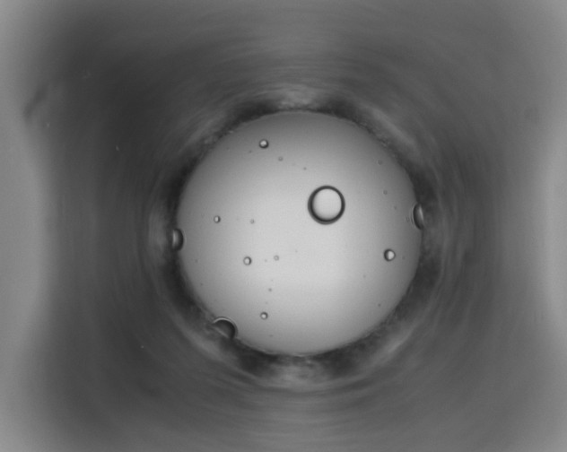 X0000115840215200911201559