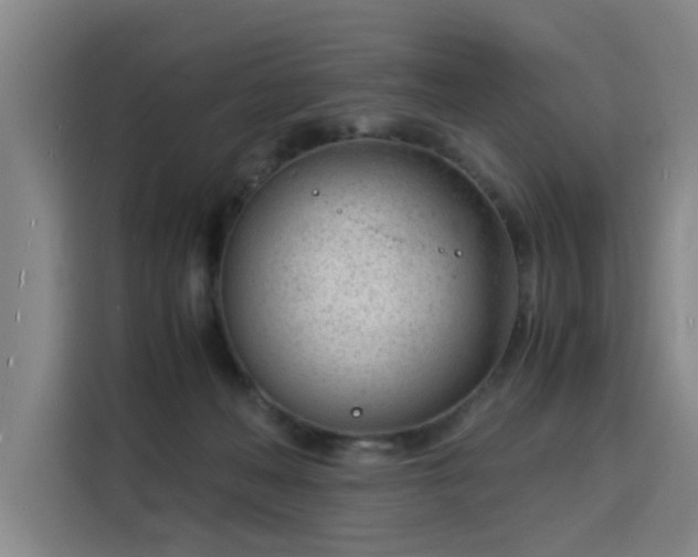X0000115840222200911201559