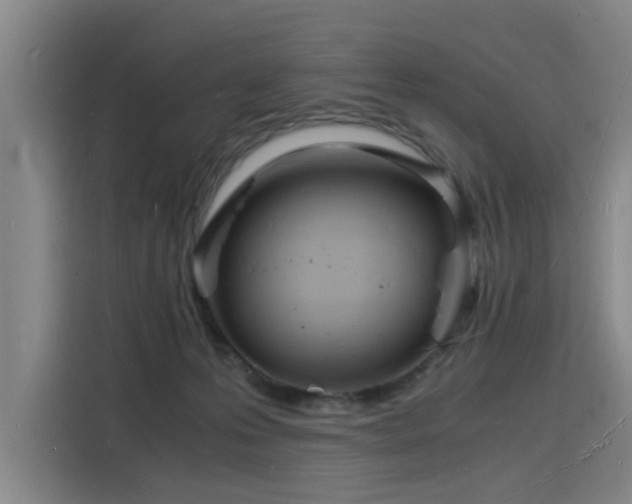 X0000115840223200911201559