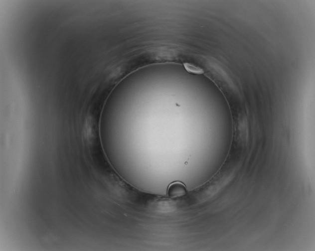 X0000115840228200911201559
