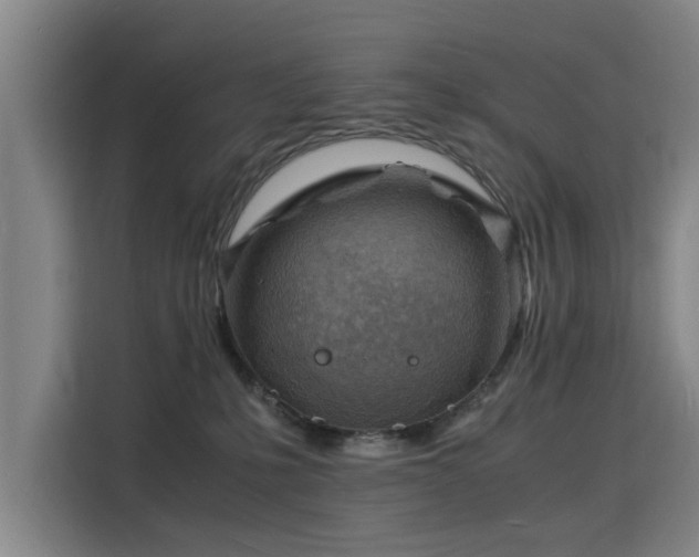 X0000115840231200911201559