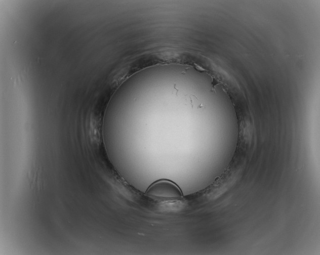X0000115840234200911201559