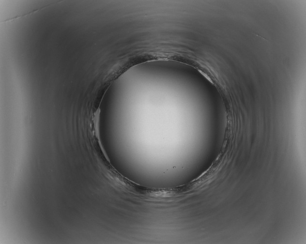 X0000115840237200911201559