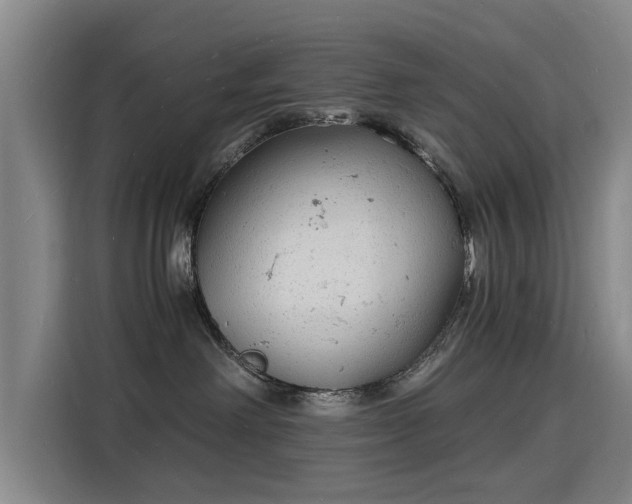 X0000115840238200911201559