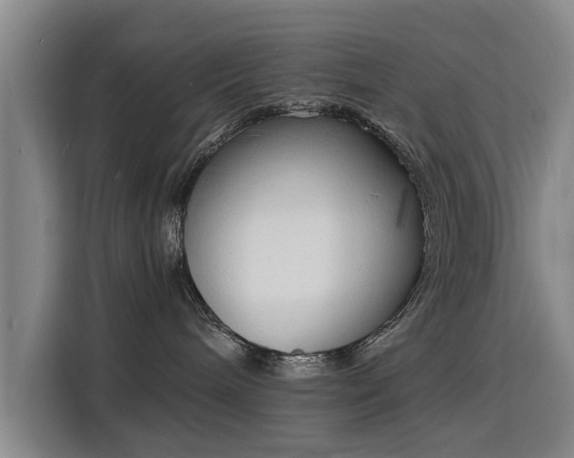 X0000115840240200911201559