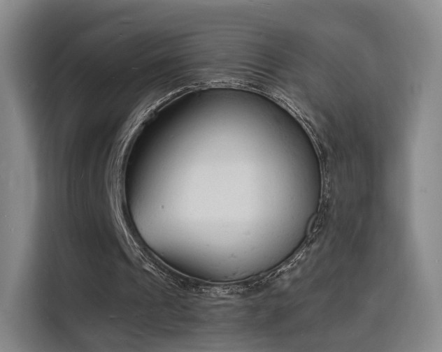 X0000115840241200911201558