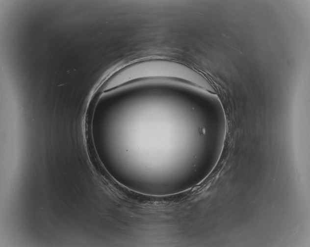 X0000115840244200911201558