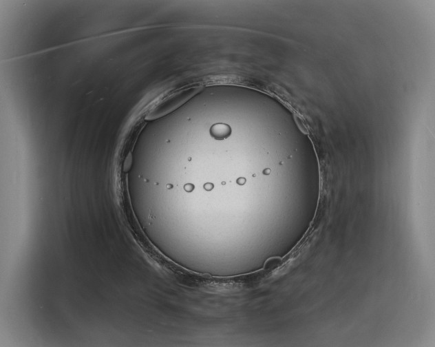 X0000115840245200911201558