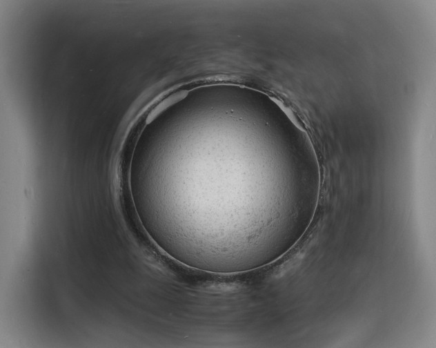 X0000115840247200911201558