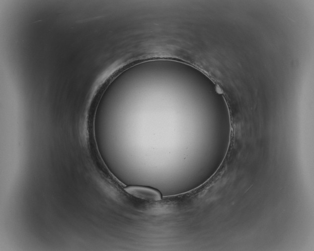 X0000115840248200911201558