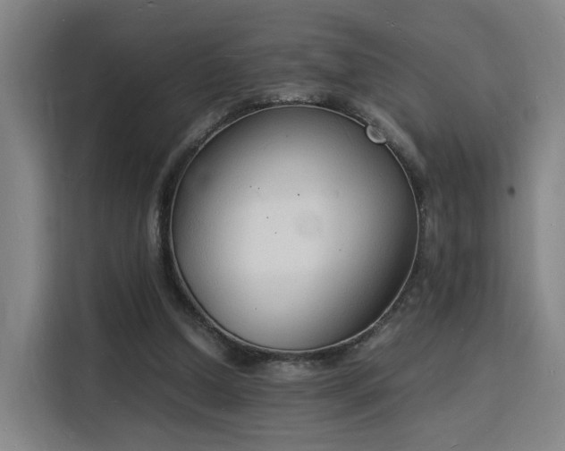 X0000115840250200911201558