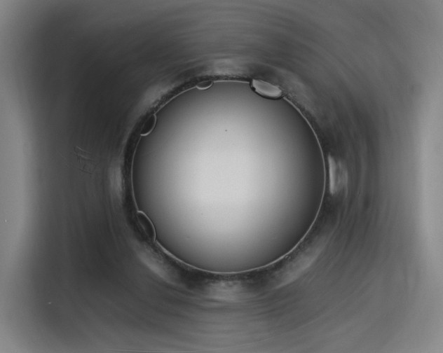 X0000115840252200911201558