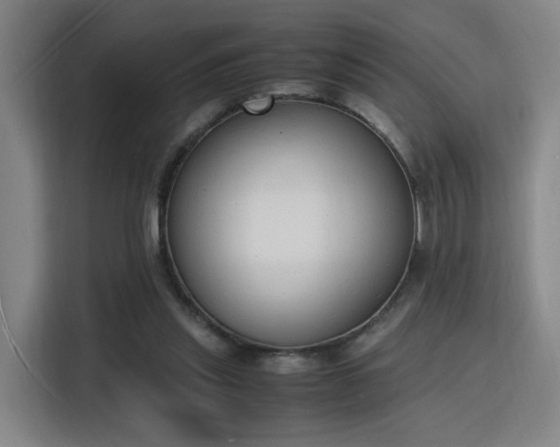 X0000115840253200911201558
