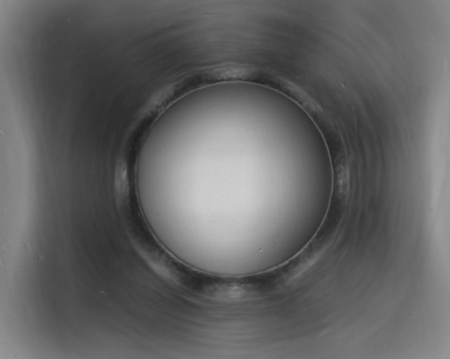 X0000115840254200911201558
