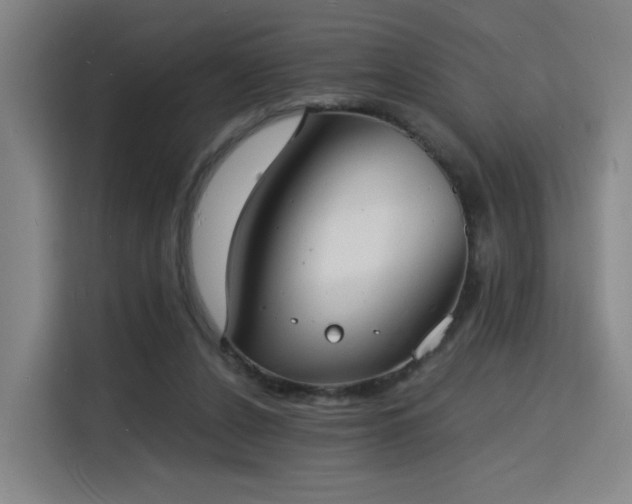 X0000115840256200911201558