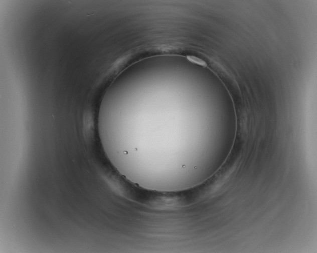 X0000115840260200911201558